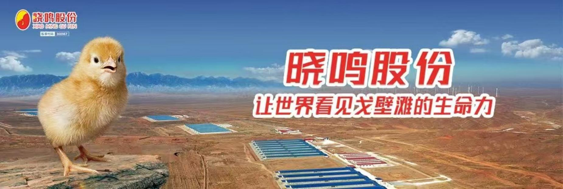 采纳资讯-深圳采纳